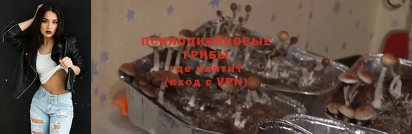 Альфа ПВП Богородск