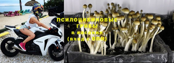 мдма Богородицк